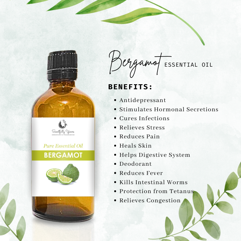 BERGAMOT Natural Pure Essential Oil (5ml - 100ml)