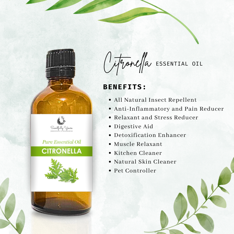 CITRONELLA Natural Pure Essential Oil (500ml- 1 Liter)