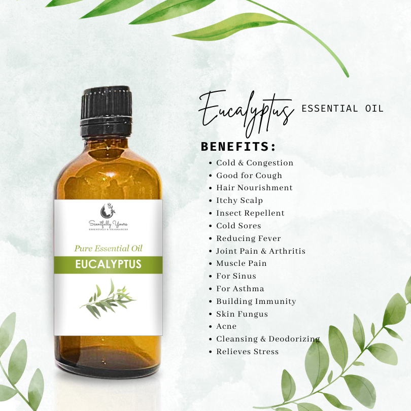 EUCALYPTUS Natural Pure Essential Oil (5ml - 100ml)