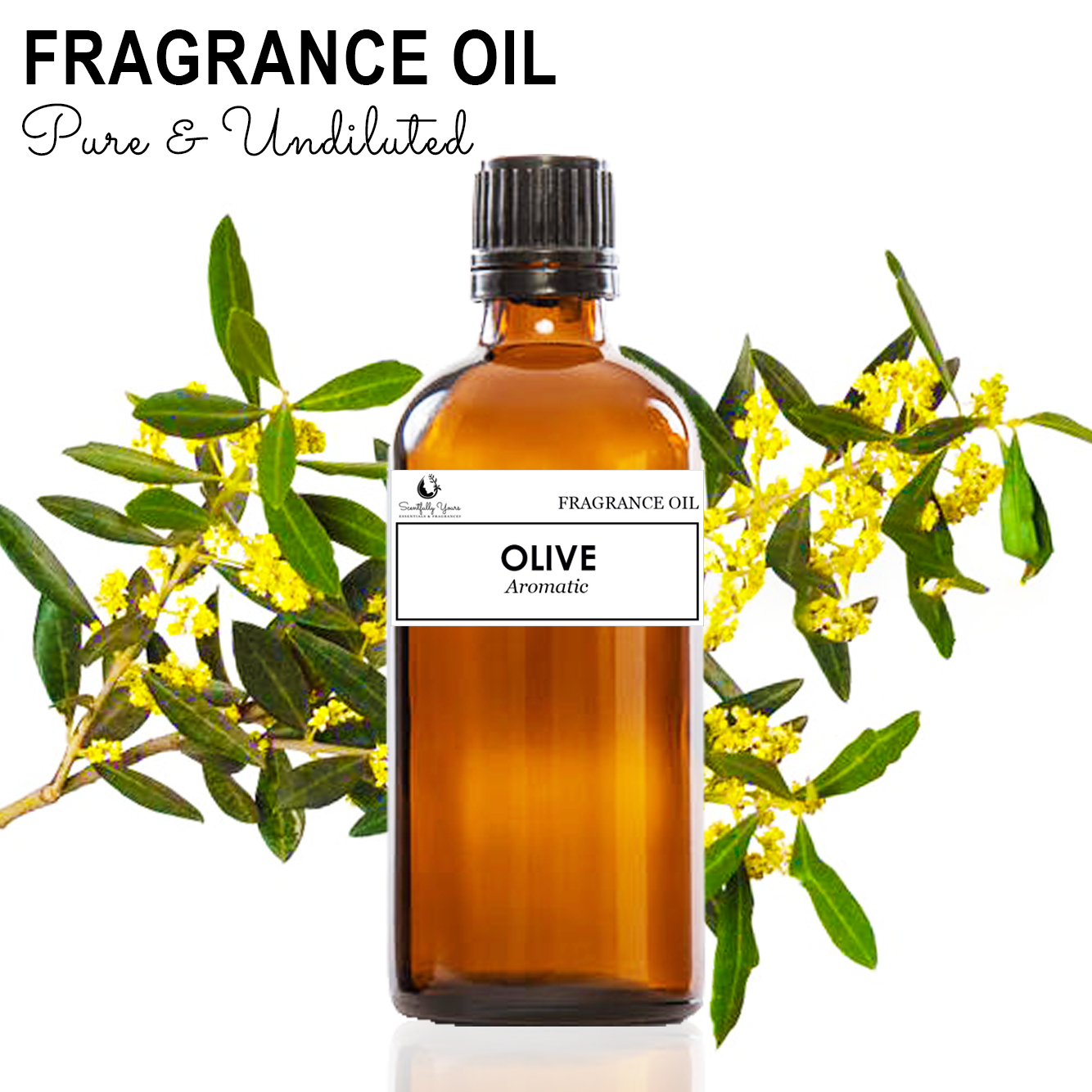 OLIVE - Aromatic Fragrance Oil (5ml - 1 00ml)