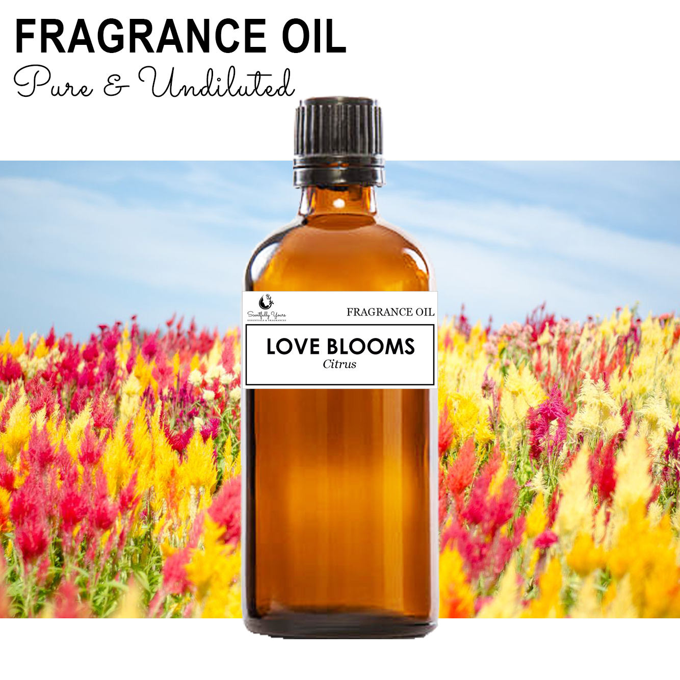 LOVE BLOOMS - Citrus Fragrance Oil (5ml - 100ml)