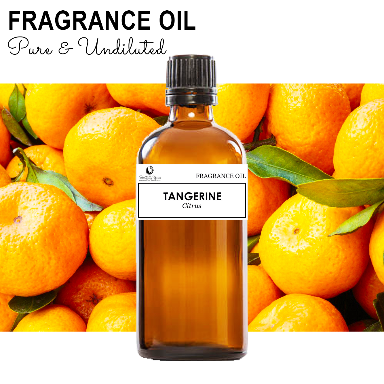 TANGERINE - Citrus Fragrance Oil (5ml - 100ml)