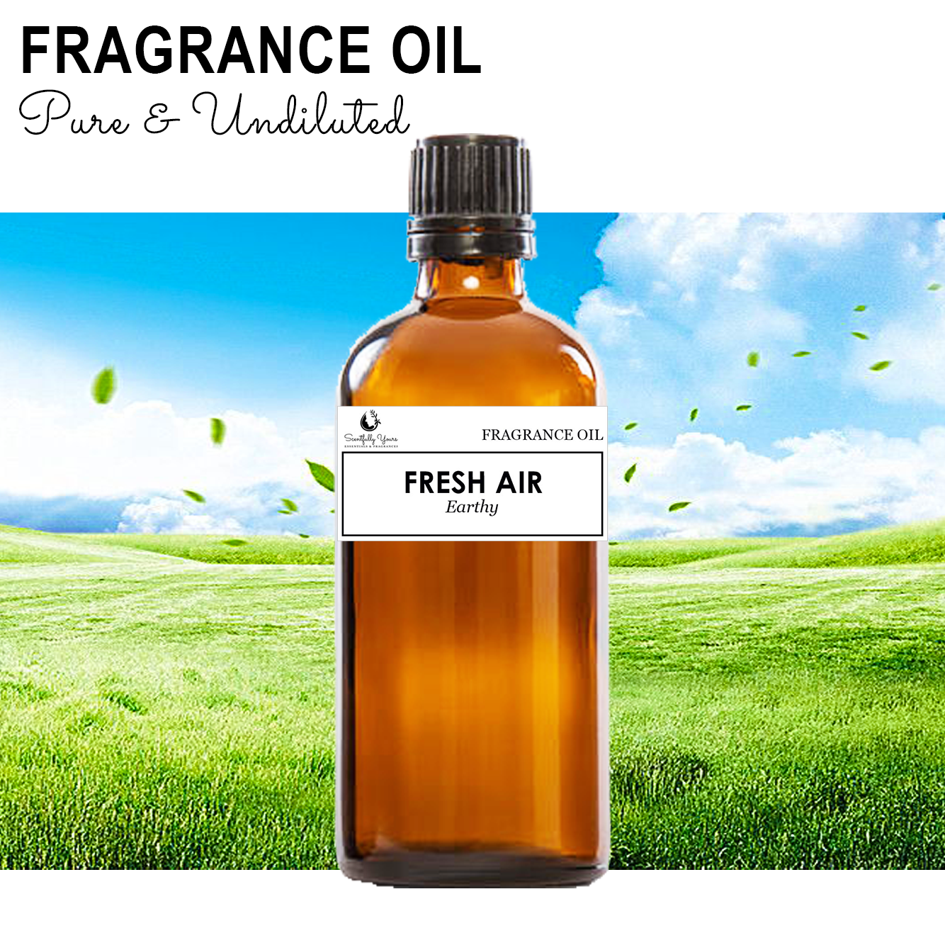 FRESH AIR - Earthy Notes Fragrance Oil (500ml - 1 Liter)