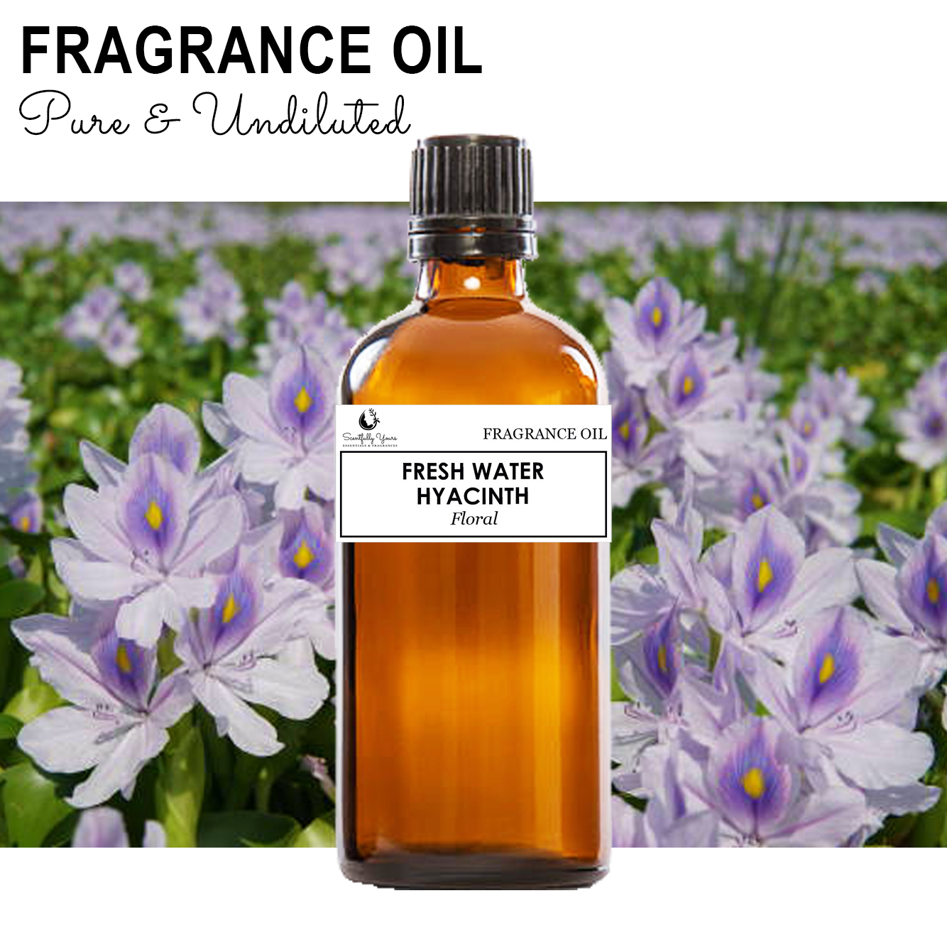 FRESH WATER HYACINTH - Floral Fragrance Oil (5ml - 100ml)