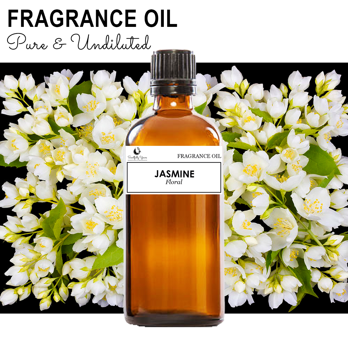 JASMINE - Floral Fragrance Oil (5ml - 100ml)