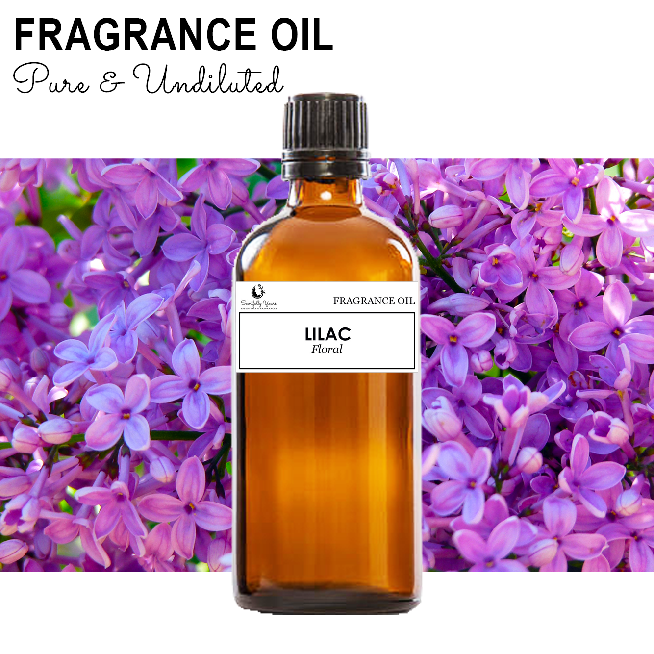 LILAC - Floral Fragrance Oil (5ml - 100ml)