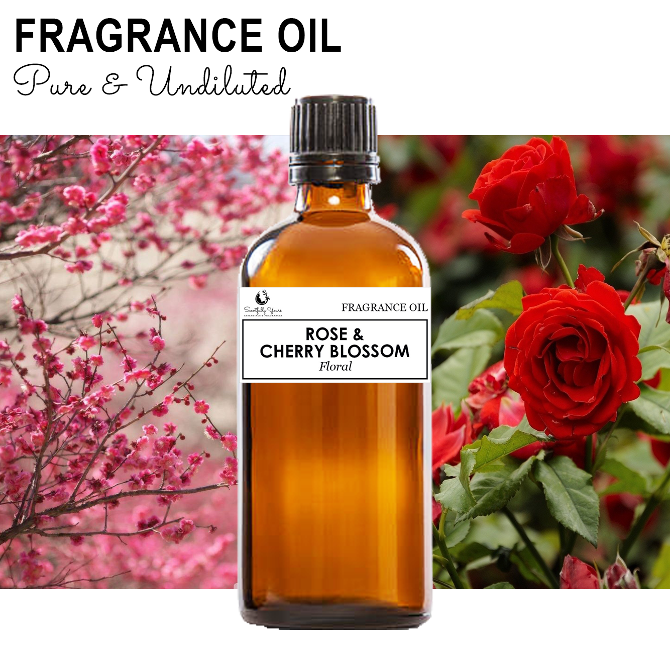 ROSE & CHERRY BLOSSOM - Floral Fragrance Oil (5ml - 100ml)