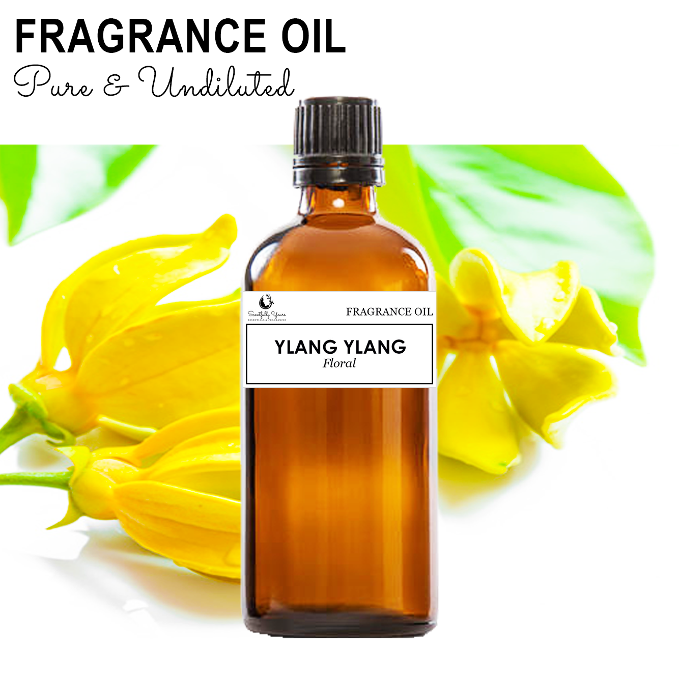 YLANG-YLANG - Floral Fragrance Oil (500ml - 1 Liter)