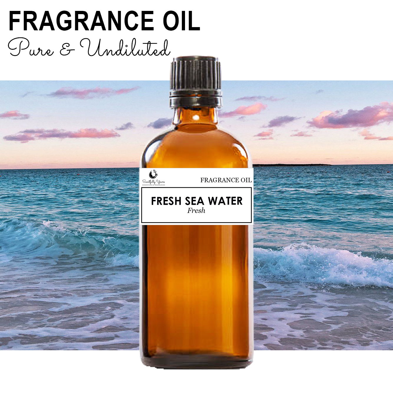 FRESH SEA WATER - Fresh Fragrance Oil (5ml - 100ml)