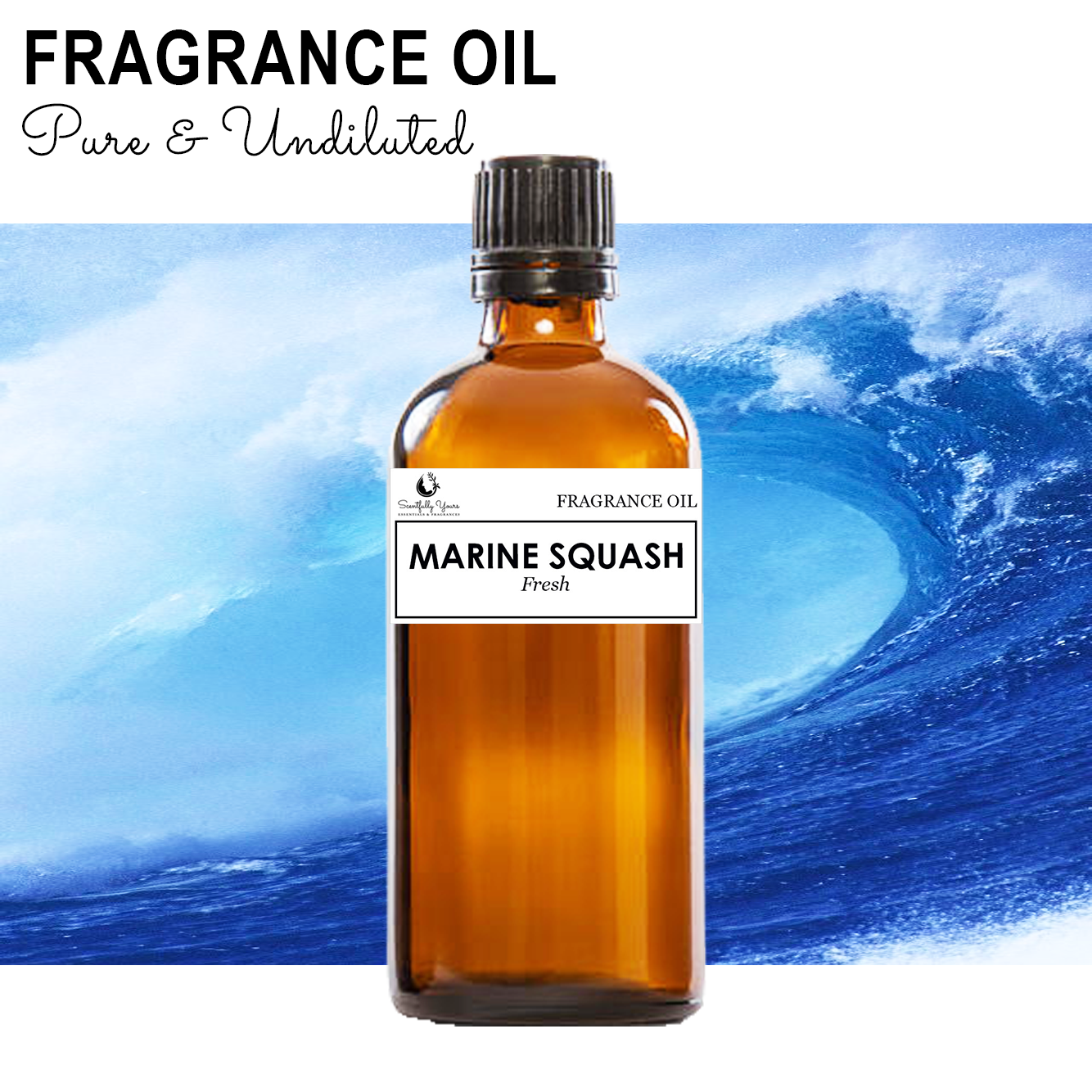 MARINE SQUASH - Fresh Fragrance Oil (500ml - 1 Liter)