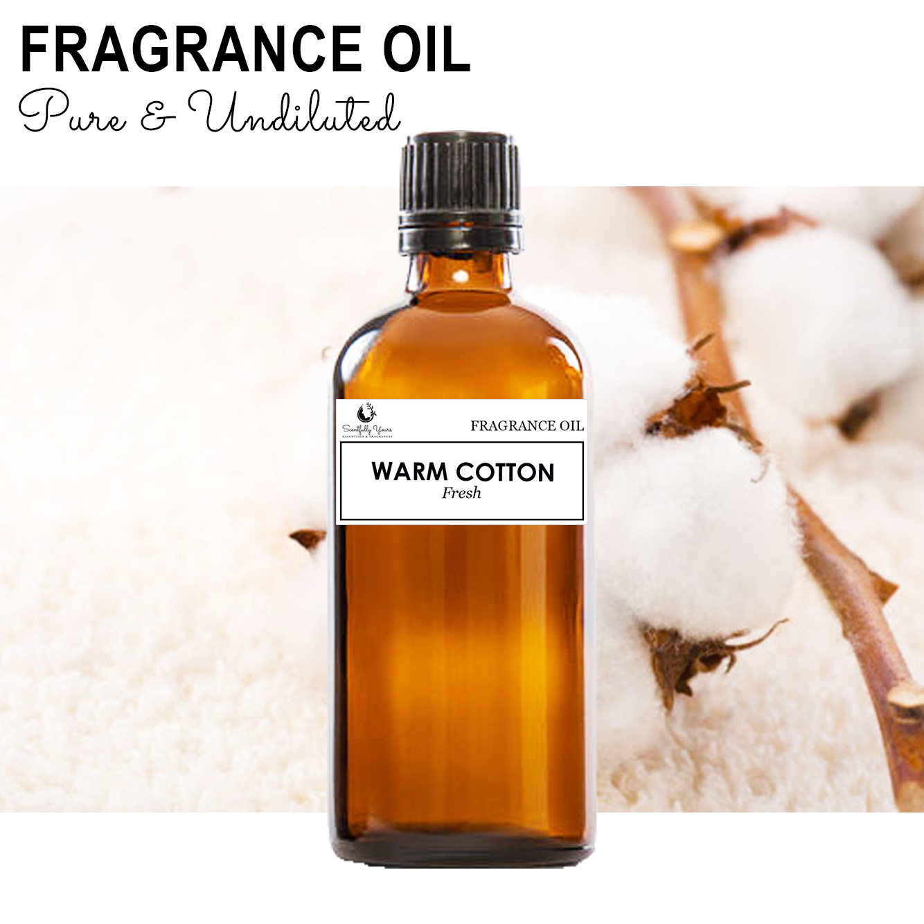 WARM COTTON - Fresh Fragrance Oil (5ml - 100ml)