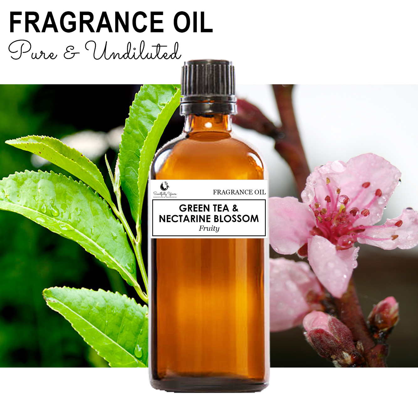 GREEN TEA & NECTARINE BLOSSOM - Fruity Fragrance Oil (500ml - 1 Liter)