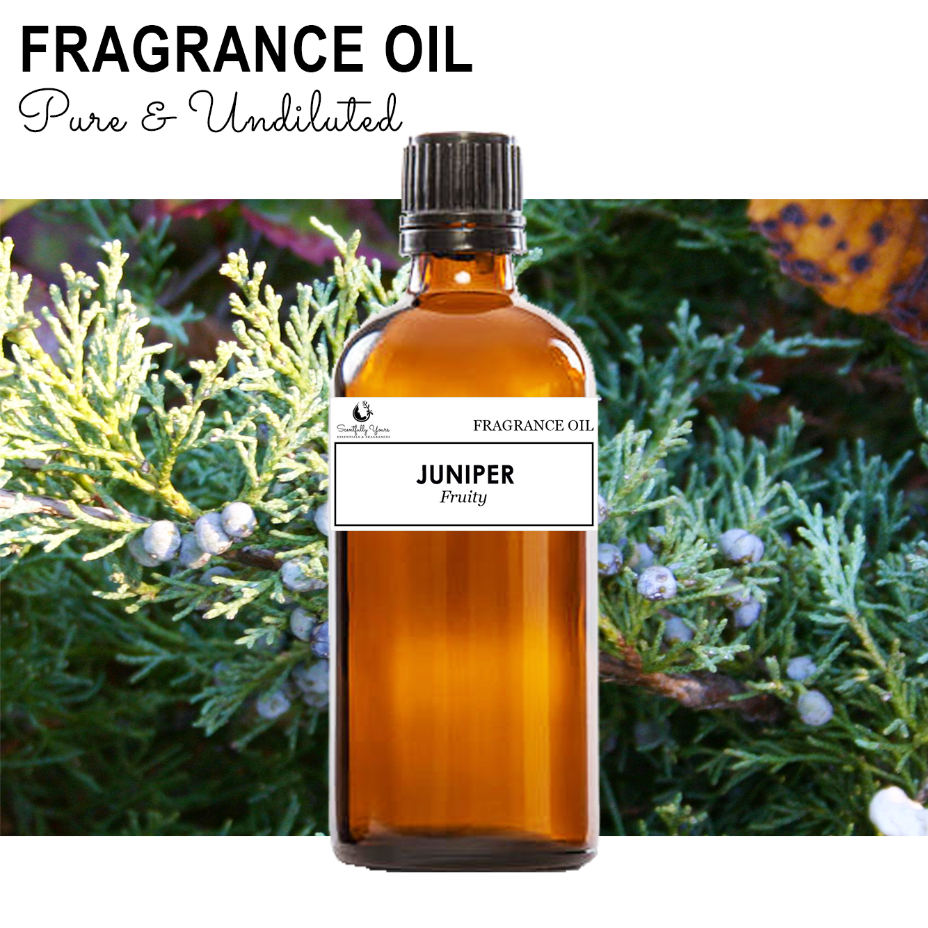 JUNIPER - Fruity Fragrance Oil (5ml - 100ml)