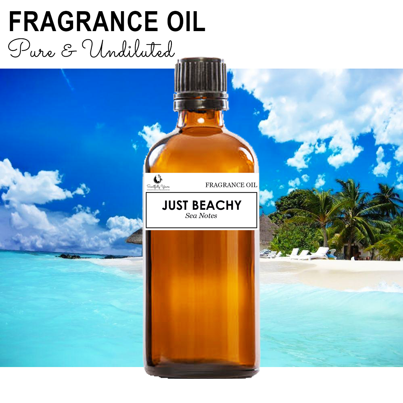 JUST BEACHY - Sea Notes Fragrance Oil (5ml - 100ml)