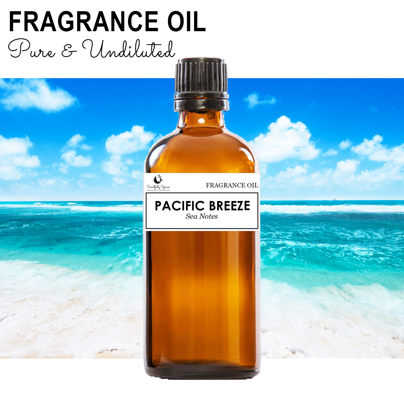 PACIFIC BREEZE - Sea Notes Fragrance Oil (5ml - 100ml)