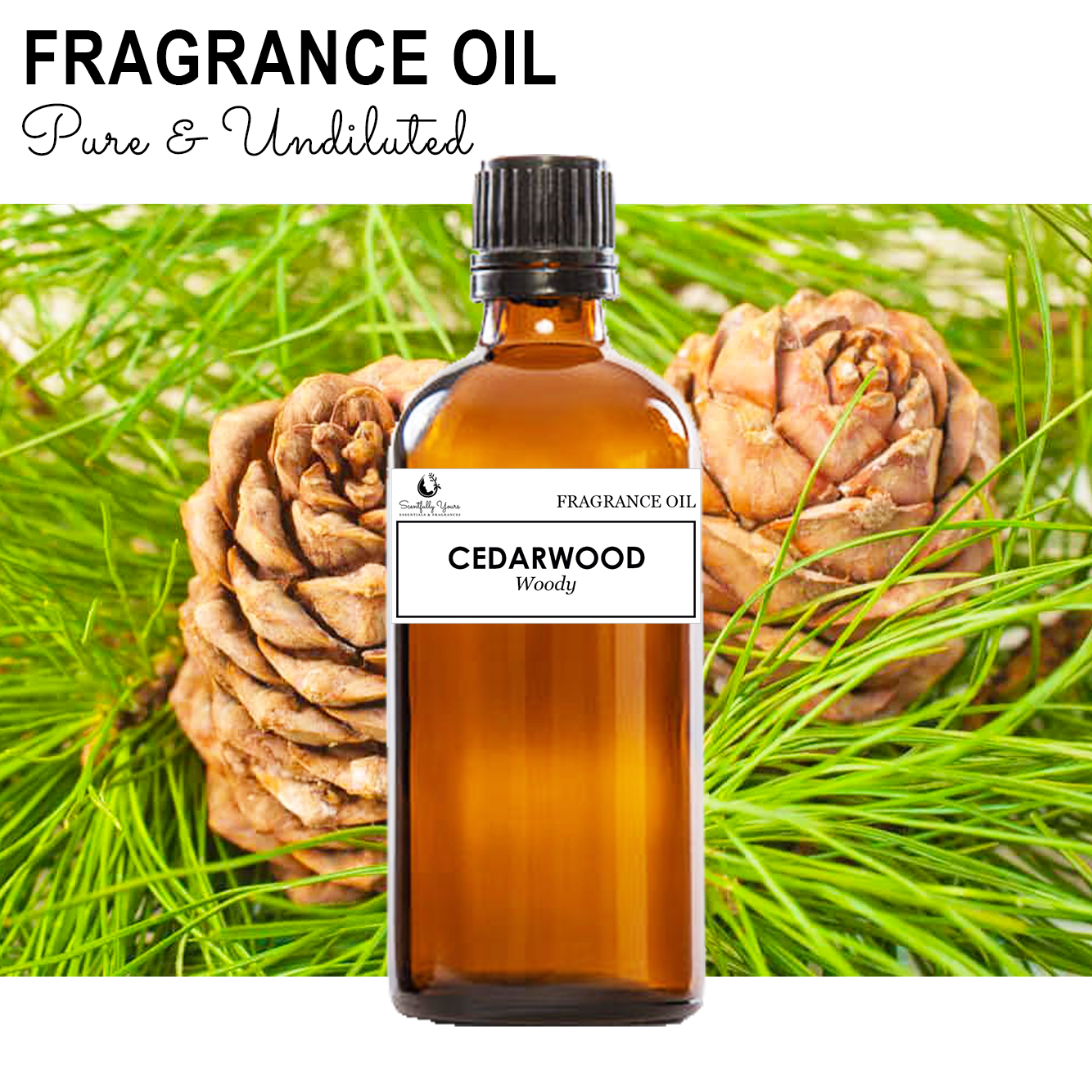 CEDARWOOD - Woody Fragrance Oil (5ml - 100ml)