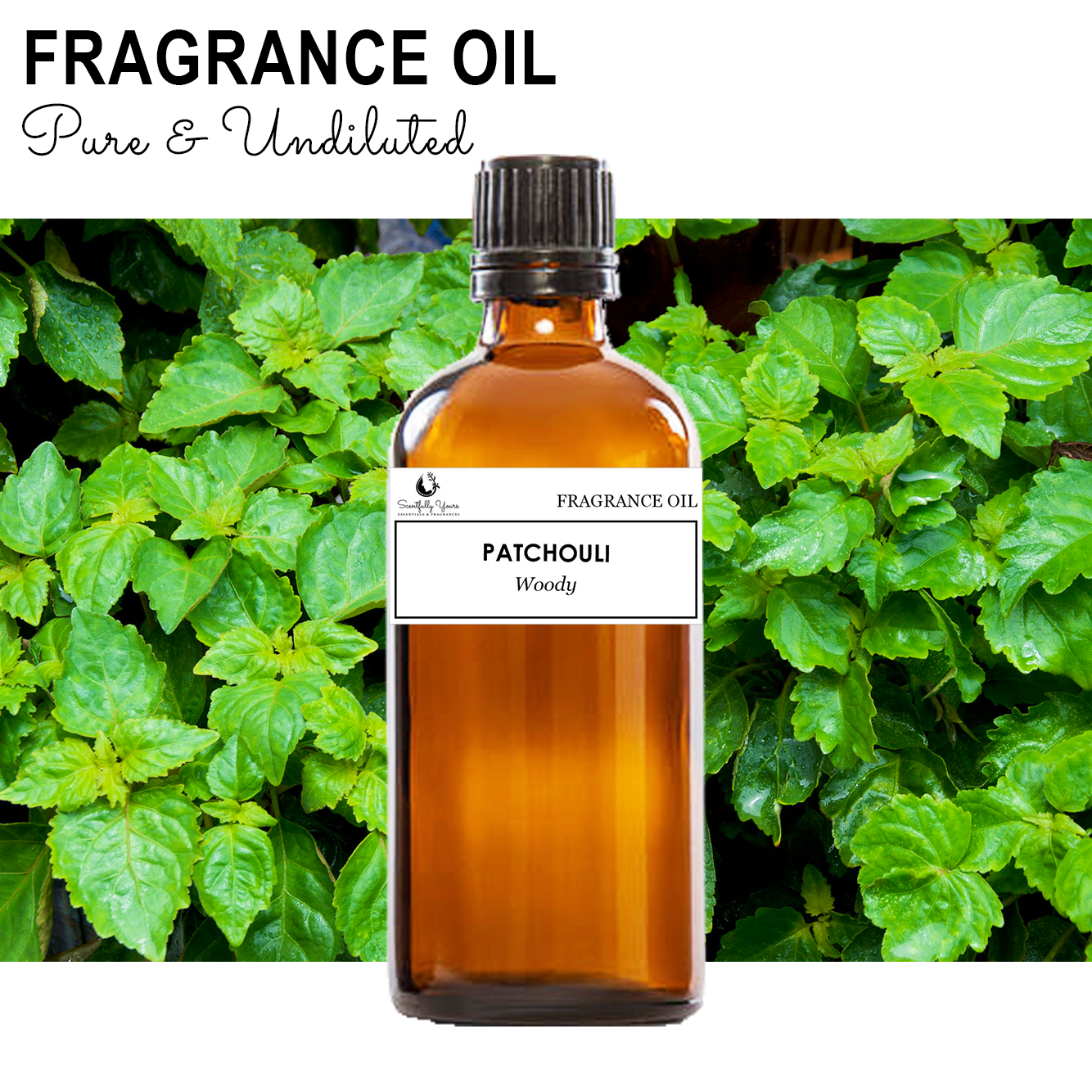 PATCHOULI - Woody Fragrance Oil (500ml - 1 Liter)