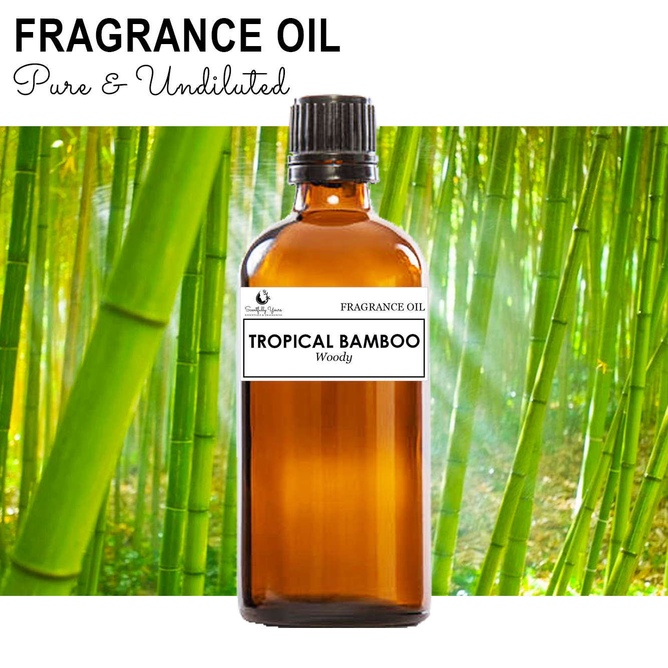 TROPICAL BAMBOO - Woody Fragrance Oil (5ml - 100ml)