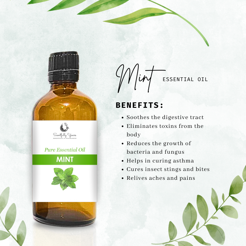 MINT Natural Pure Essential Oil (500ml - 1 Liter)