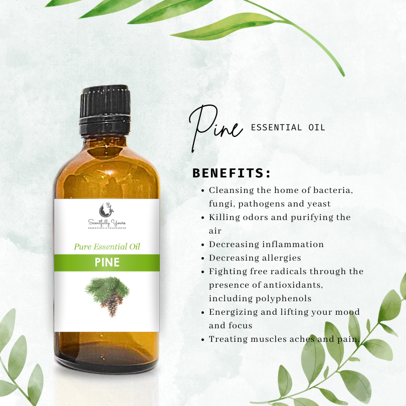 PINE Natural Pure Essential Oil (5ml - 100ml)