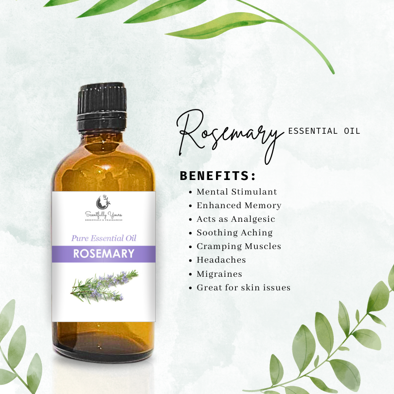 ROSEMARY Natural Pure Essential Oil (5ml - 100ml)