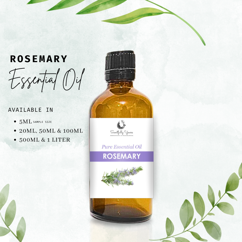 ROSEMARY Natural Pure Essential Oil (5ml - 100ml)