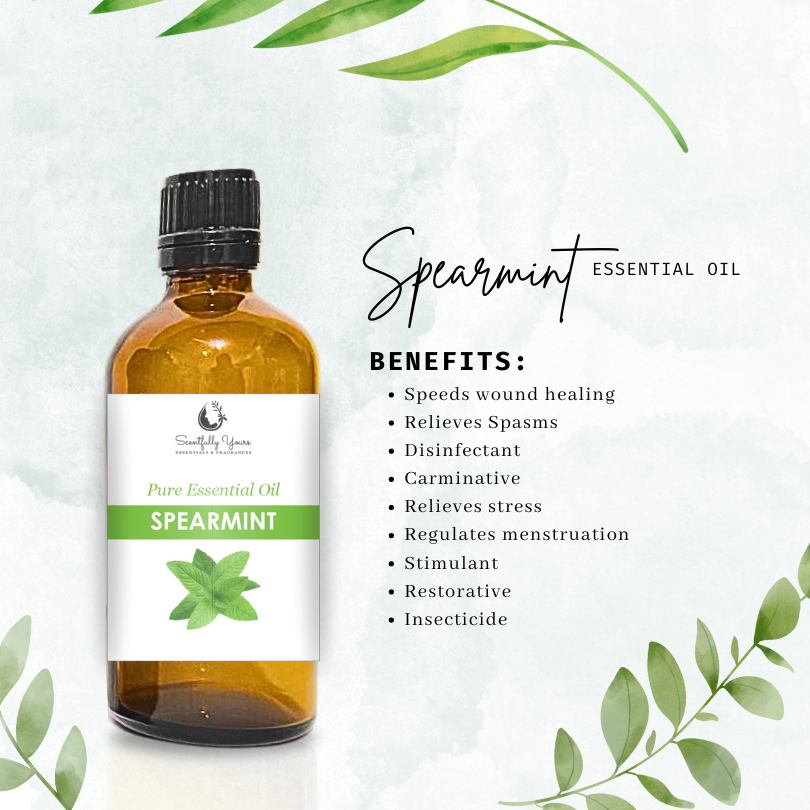 SPEARMINT Natural Pure Essential Oil (500ml - 1 Liter)